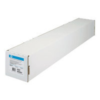 HP Professional satin photo paper inkjet 300g/m2 610mm x 15.2m 1 roll 1-pack