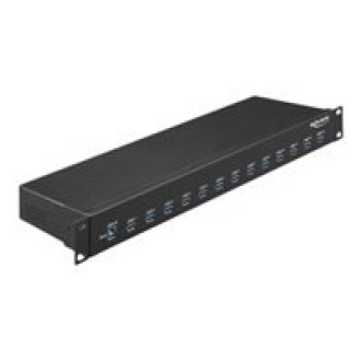 DELOCK 48,26cm 19Zoll Industrie Hub 13 x USB 3.1 Gen 1 Typ-A