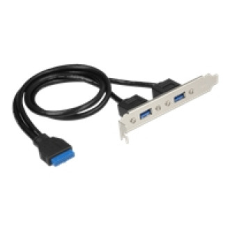 DELOCK Slotblech 1 x 19 Pin USB 3.0 Pfostenbuchse intern > 2 x USB 3.0 Typ-A Buchse extern