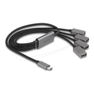 DELOCK 4 Port USB 2.0 Kabel-Hub mit USB Type-C Anschluss 60cm