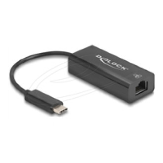 DELOCK USB 2.0 Type-C Adapter zu 10/100mbps LAN