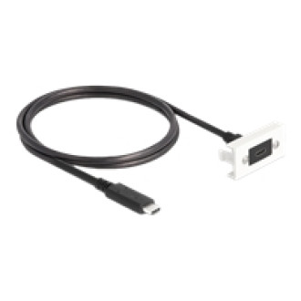 DELOCK Easy 45modul SuperSpeed USB 10 Gbps USB 3.2 Gen 2 USB Type-C Buchse zu USB Type-C Stecker mit Kabelpeitsche 22,5 x 45mm