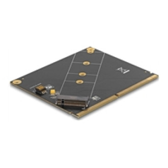DELOCK Konverter MXM zu M.2 NVMe Key M Slot