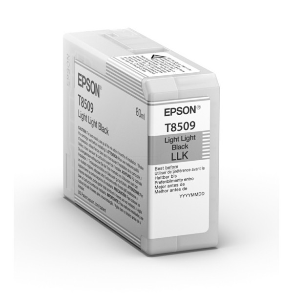 Original Tintenpatrone schwarz hell hell Epson C13T850900/T8509 schwarz