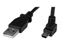 STARTECH.COM 1m Mini USB Cable - A to Up Angle Mini B